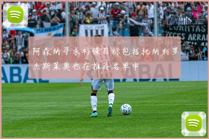 阿森纳寻求补强目标包括托纳利罗杰斯莱奥也在推荐名单中