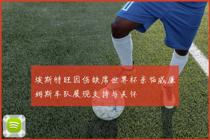 埃斯特旺因伤缺席世界杯亲临威廉姆斯车队展现支持与关怀