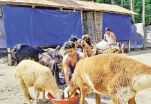 বন্ধুর হাত ধরে এসেছে সাফল্য বন্ধুর হাত ধরে এসেছে সাফল্য
